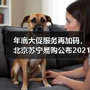 年底大促服务再加码，北京苏宁易购公布2021年服务标准(图2)