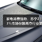 家电消费强劲,苏宁23.3%市场份额再夺行业第一(图4) 家电消费强劲,苏宁23.3%市场份额再夺行业第一(图4)