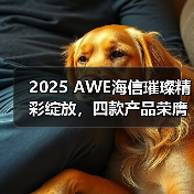 2025 AWE海信璀璨精彩绽放，四款产品荣膺艾普兰奖诠释东方美学新高度(图2)