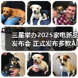 三星举办2025家电新品发布会 正式发布多款AI家电(图4) 三星举办2025家电新品发布会 正式发布多款AI家电(图4)