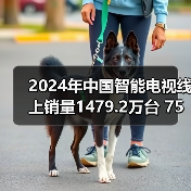 2024年中国智能电视线上销量1479.2万台 75吋最好卖(图4)