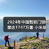 2024年中国智能门锁销量达1747万套 小米居线上第一(图3) 2024年中国智能门锁销量达1747万套 小米居线上第一(图3)