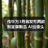 传华为3月将发布两款智慧屏新品 AI摄像头 最大98英寸(图1)