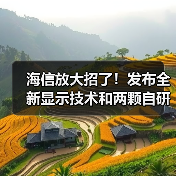 海信放大招了!发布全新显示技术和两颗自研芯片(图2) 海信放大招了!发布全新显示技术和两颗自研芯片(图2)