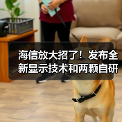 海信放大招了!发布全新显示技术和两颗自研芯片(图3) 海信放大招了!发布全新显示技术和两颗自研芯片(图3)
