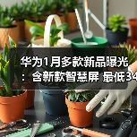 华为1月多款新品曝光:含新款智慧屏 最低3499元(图1) 华为1月多款新品曝光:含新款智慧屏 最低3499元(图1)