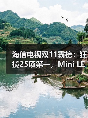 海信电视双11霸榜:狂揽25项第一,Mini LED全面领跑(图3) 海信电视双11霸榜:狂揽25项第一,Mini LED全面领跑(图3)