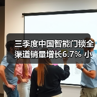 三季度中国智能门锁全渠道销量增长6.7% 小米线上第一(图2)