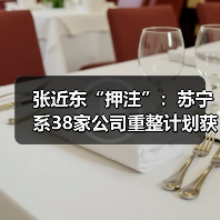 张近东“押注”：苏宁系38家公司重整计划获批(图4)