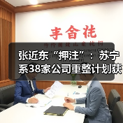 张近东“押注”：苏宁系38家公司重整计划获批(图2)