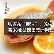 张近东“押注”：苏宁系38家公司重整计划获批(图3)