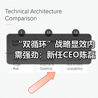 “双循环”战略显效内需强劲：新任CEO陈磊带领拼多多迎来首个盈利季度(图1)