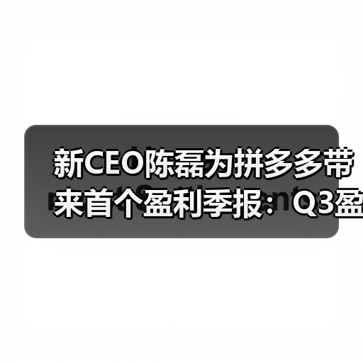新CEO陈磊为拼多多带来首个盈利季报：Q3盈利4.66亿元(图3)