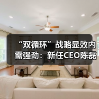 “双循环”战略显效内需强劲：新任CEO陈磊带领拼多多迎来首个盈利季度(图4)