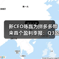 新CEO陈磊为拼多多带来首个盈利季报：Q3盈利4.66亿元(图4)