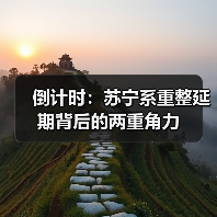 倒计时：苏宁系重整延期背后的两重角力(图2)