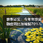 京东证实：今年年终奖额度同比涨幅超70%！(图1)
