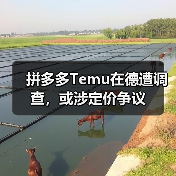 拼多多Temu在德遭调查，或涉定价争议(图2)