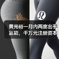 黄光裕一月内两度出手氢能，千万元注册资本背后有何野心？(图3)