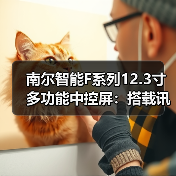 南尔智能F系列12.3寸多功能中控屏:搭载讯飞离在线语音(图4) 南尔智能F系列12.3寸多功能中控屏:搭载讯飞离在线语音(图4)