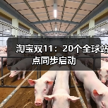 淘宝双11：20个全球站点同步启动(图1)