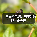 黄光裕承诺:国美欠的钱一定会还(图1) 黄光裕承诺:国美欠的钱一定会还(图1)