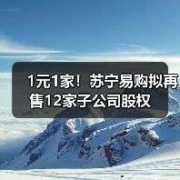 1元1家！苏宁易购拟再售12家子公司股权(图4)