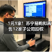 1元1家！苏宁易购拟再售12家子公司股权(图2)