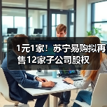 1元1家！苏宁易购拟再售12家子公司股权(图3)