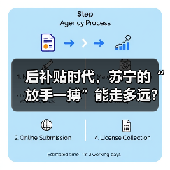 后补贴时代,苏宁的“放手一搏”能走多远?(图2) 后补贴时代,苏宁的“放手一搏”能走多远?(图2)