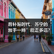 后补贴时代,苏宁的“放手一搏”能走多远?(图3) 后补贴时代,苏宁的“放手一搏”能走多远?(图3)
