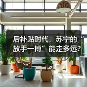 后补贴时代,苏宁的“放手一搏”能走多远?(图4) 后补贴时代,苏宁的“放手一搏”能走多远?(图4)
