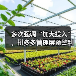 多次强调“加大投入”,拼多多管理层预警利润波动大或持续(图1) 多次强调“加大投入”,拼多多管理层预警利润波动大或持续(图1)