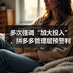 多次强调“加大投入”,拼多多管理层预警利润波动大或持续(图3) 多次强调“加大投入”,拼多多管理层预警利润波动大或持续(图3)