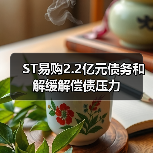 ST易购2.2亿元债务和解缓解偿债压力(图1)