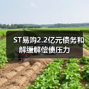 ST易购2.2亿元债务和解缓解偿债压力(图2)