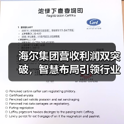 海尔集团营收利润双突破,智慧布局引领行业新高度(图2) 海尔集团营收利润双突破,智慧布局引领行业新高度(图2)