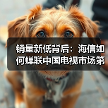 销量新低背后:海信如何蝉联中国电视市场第一?(图4) 销量新低背后:海信如何蝉联中国电视市场第一?(图4)