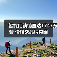 智能门锁销量达1747万套 价格战品牌突围(图3) 智能门锁销量达1747万套 价格战品牌突围(图3)