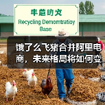 饿了么飞猪合并阿里电商,未来格局将如何变化?(图3) 饿了么飞猪合并阿里电商,未来格局将如何变化?(图3)