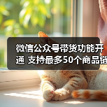 微信公众号带货功能开通 支持最多50个商品链接(图4) 微信公众号带货功能开通 支持最多50个商品链接(图4)