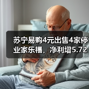 苏宁易购4元出售4家停业家乐福,净利增5.72亿?(图2) 苏宁易购4元出售4家停业家乐福,净利增5.72亿?(图2)