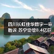 四川长虹佳华数字一审胜诉 苏宁需偿8.4亿巨款(图3) 四川长虹佳华数字一审胜诉 苏宁需偿8.4亿巨款(图3)
