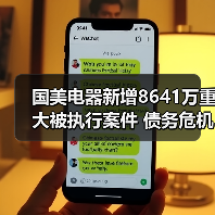 国美电器新增8641万重大被执行案件 债务危机如何应对?(图3) 国美电器新增8641万重大被执行案件 债务危机如何应对?(图3)