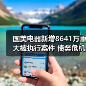 国美电器新增8641万重大被执行案件 债务危机如何应对?(图2) 国美电器新增8641万重大被执行案件 债务危机如何应对?(图2)
