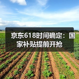 京东618时间确定:国家补贴提前开抢(图3) 京东618时间确定:国家补贴提前开抢(图3)
