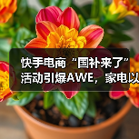 快手电商“国补来了”活动引爆AWE，家电
