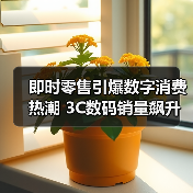 即时零售引爆数字消费热潮 3C数码销量飙升(图3) 即时零售引爆数字消费热潮 3C数码销量飙升(图3)