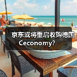 京东或将重启收购德国Ceconomy?(图1) 京东或将重启收购德国Ceconomy?(图1)