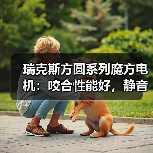 瑞克斯方圆系列魔方电机:咬合性能好,静音效果更佳(图1) 瑞克斯方圆系列魔方电机:咬合性能好,静音效果更佳(图1)